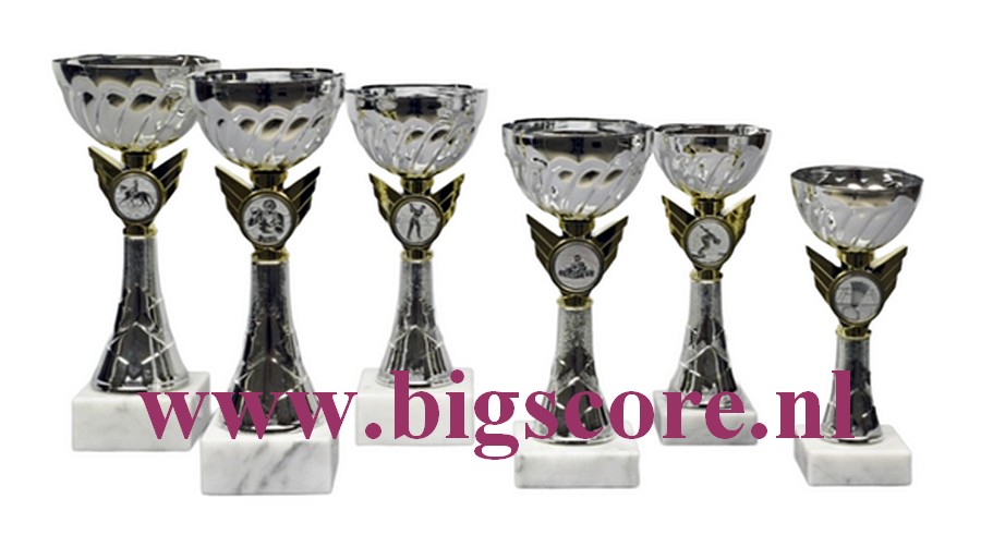 Z 631 Beker Goud-Zilver 6 Delig